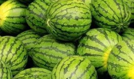 吃瓜网每日大赛 今日吃瓜每日更新朝阳群众,吃瓜网每日大赛，今日吃瓜每日更新，揭秘娱乐圈最新动态